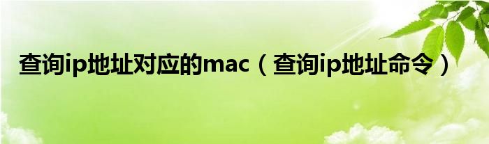 查询ip地址对应的mac(查询ip地址命令)