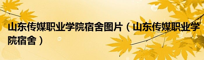 山东传媒职业学院宿舍图片(山东传媒职业学院宿舍)