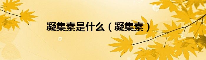 凝集素是什么（凝集素）