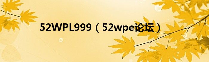 52WPL999(52wpe论坛)