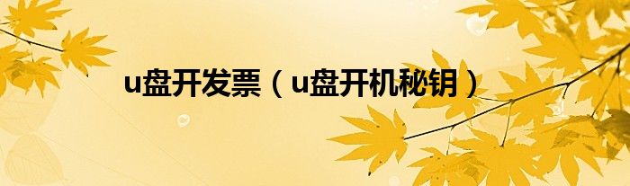 u盘开发票(u盘开机秘钥)