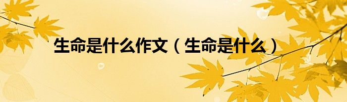 生命是什么作文(生命是什么)