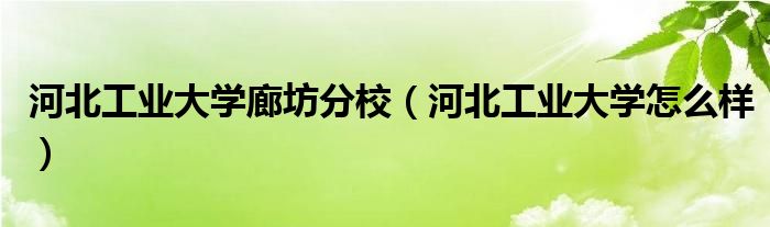 河北工业大学廊坊分校(河北工业大学怎么样)