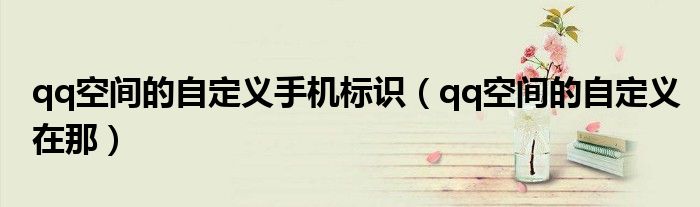 qq空间的自定义手机标识(qq空间的自定义在那)