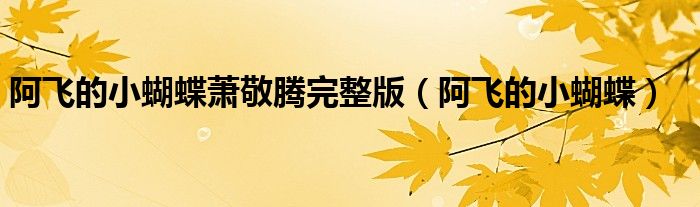 阿飞的小蝴蝶萧敬腾完整版(阿飞的小蝴蝶)