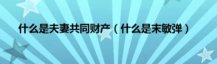 什么是夫妻共同财产(什么是末敏弹)