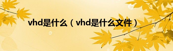 vhd是什么(vhd是什么文件)