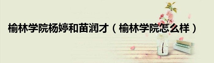 榆林学院杨婷和苗润才(榆林学院怎么样)