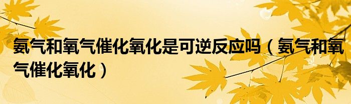 氨气和氧气催化氧化是可逆反应吗(氨气和氧气催化氧化)