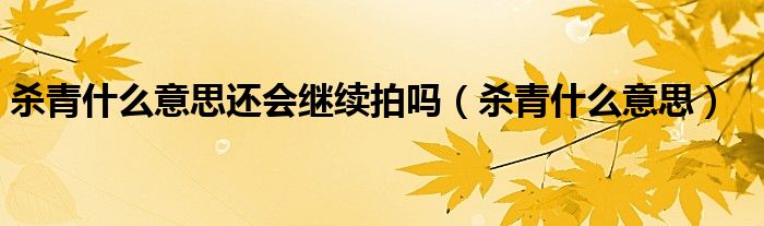 杀青什么意思还会继续拍吗(杀青什么意思)