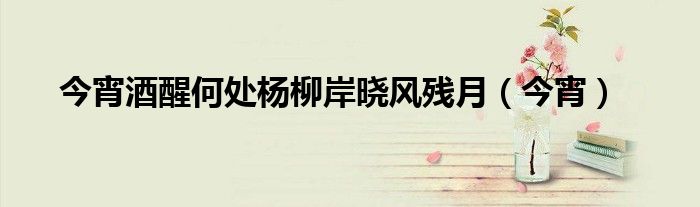 今宵酒醒何处杨柳岸晓风残月(今宵)