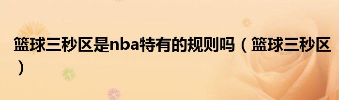 篮球三秒区是nba特有的规则吗(篮球三秒区)