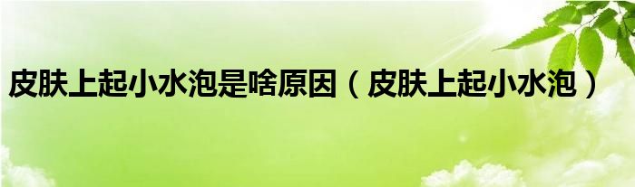 皮肤上起小水泡是啥原因(皮肤上起小水泡)