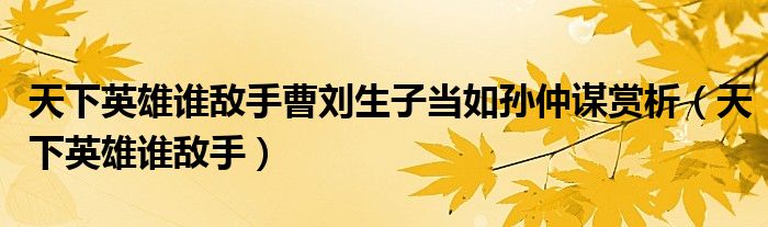 天下英雄谁敌手曹刘生子当如孙仲谋赏析(天下英雄谁敌手)