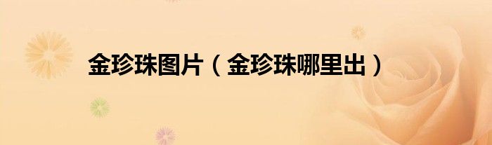 金珍珠图片(金珍珠哪里出)