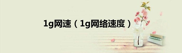 1g网速(1g网络速度)