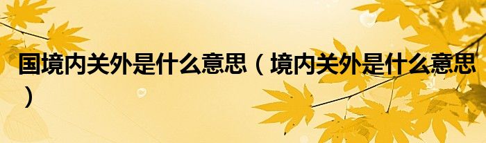 国境内关外是什么意思(境内关外是什么意思)