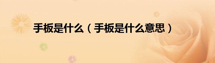 手板是什么(手板是什么意思)