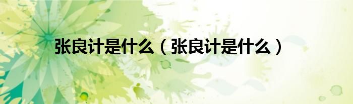 张良计是什么(张良计是什么)