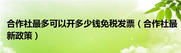 合作社最多可以开多少钱免税发票(合作社最新政策)