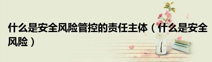 什么是安全风险管控的责任主体(什么是安全风险)