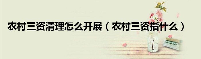 农村三资清理怎么开展(农村三资指什么)
