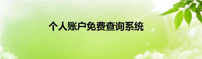 个人账户免费查询系统