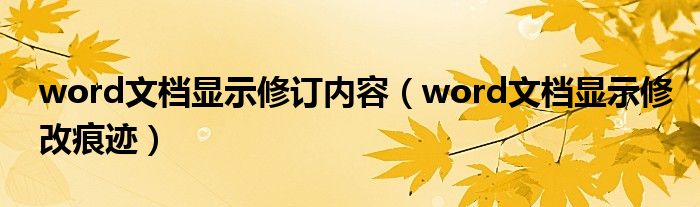 word文档显示修订内容(word文档显示修改痕迹)