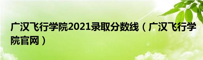 广汉飞行学院2021录取分数线(广汉飞行学院官网)
