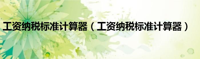 工资纳税标准计算器(工资纳税标准计算器)