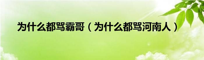 为什么都骂霸哥(为什么都骂河南人)
