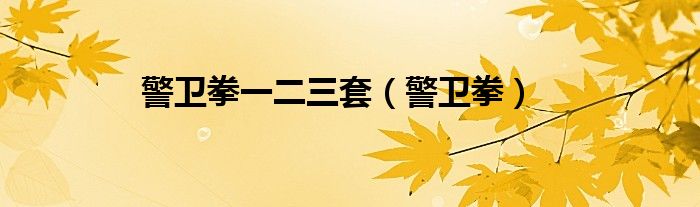警卫拳一二三套（警卫拳）