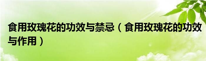 食用玫瑰花的功效与禁忌(食用玫瑰花的功效与作用)