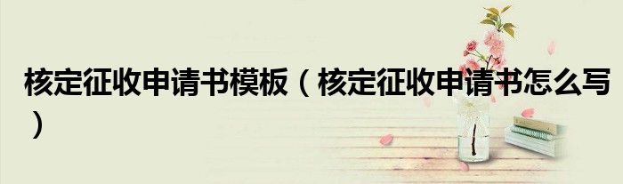 核定征收申请书模板(核定征收申请书怎么写)