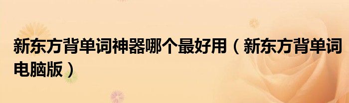 新东方背单词神器哪个最好用(新东方背单词电脑版)