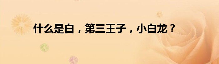 什么是白,第三王子,小白龙?