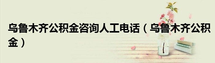 乌鲁木齐公积金咨询人工电话(乌鲁木齐公积金)