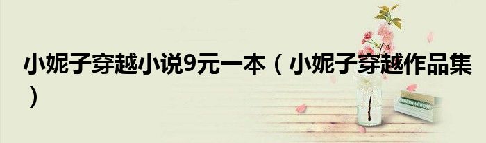 小妮子穿越小说9元一本(小妮子穿越作品集)
