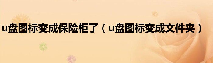 u盘图标变成保险柜了(u盘图标变成文件夹)