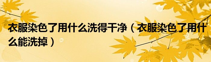 衣服染色了用什么洗得干净(衣服染色了用什么能洗掉)