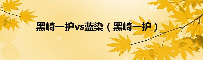 黑崎一护vs蓝染(黑崎一护)
