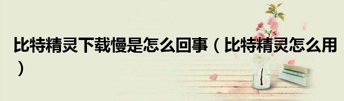 比特精灵下载慢是怎么回事(比特精灵怎么用)