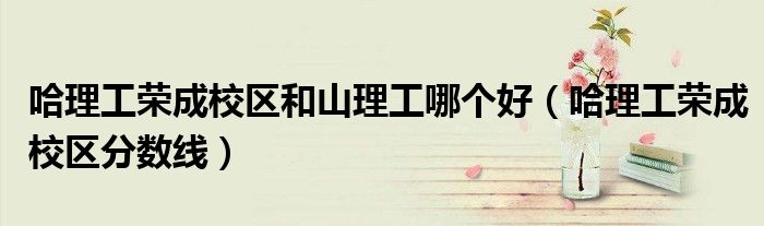 哈理工荣成校区和山理工哪个好(哈理工荣成校区分数线)