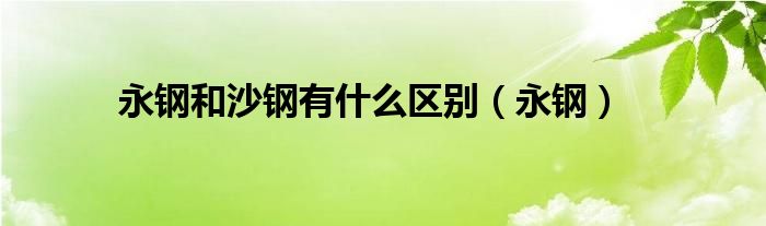 永钢和沙钢有什么区别(永钢)