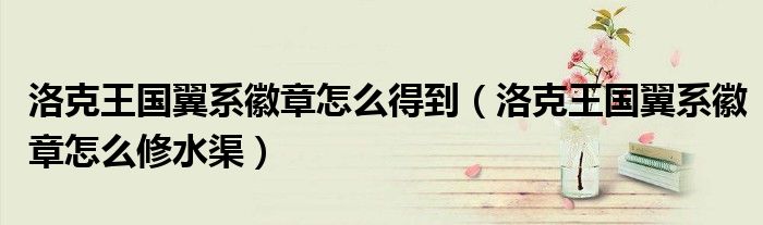 洛克王国翼系徽章怎么得到(洛克王国翼系徽章怎么修水渠)