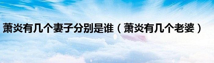 萧炎有几个妻子分别是谁(萧炎有几个老婆)