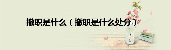 撤职是什么(撤职是什么处分)