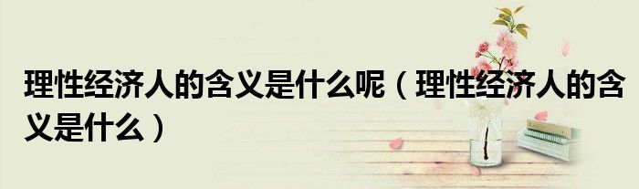 理性经济人的含义是什么呢(理性经济人的含义是什么)