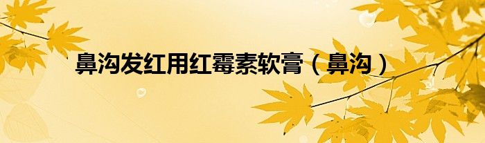 鼻沟发红用红霉素软膏(鼻沟)