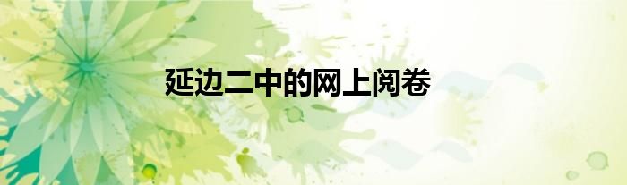 延边二中的网上阅卷